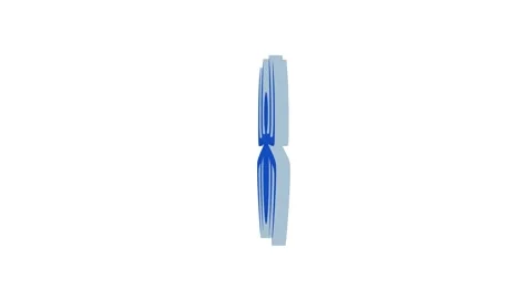 3d blue spider icon rotated animation loopable white background Stock Footage 265542930