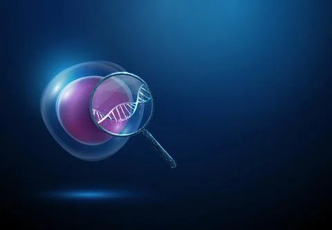 3D blue stem cell and magnifying glass with DNA. Genetics, DNA research Stock Illustration