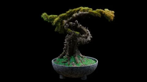 3D Bonsai Tree Stock Illustration