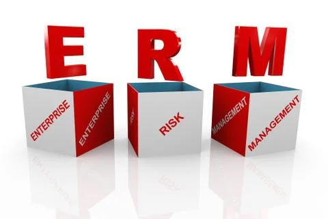 3d box of erm - enterprise risk management Stock Illustration