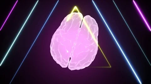 3d brain animation and neon effects, creative animation. Infinite loopable. Stock Footage 127205259