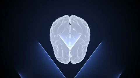 3d brain animation and neon effects, creative animation. Infinite loopable. Stock Footage 127205475