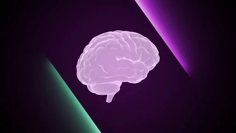 3d brain animation and neon effects, creative animation. Infinite loopable. Stock Footage 127205507