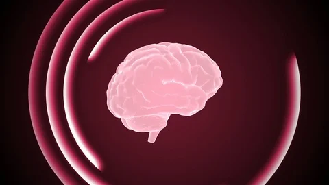 3d brain animation and neon effects, creative animation. Infinite loopable. Stock Footage 127205560