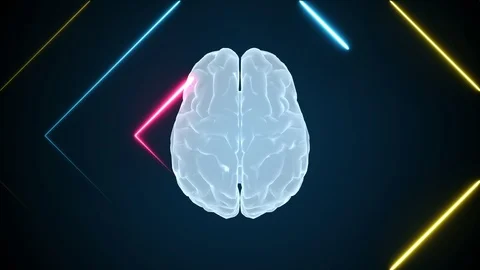 3d brain animation and neon effects, creative animation. Infinite loopable. Stock Footage 127205592