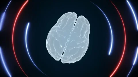 3d brain animation and neon effects, creative animation. Infinite loopable. Stock Footage 127205606