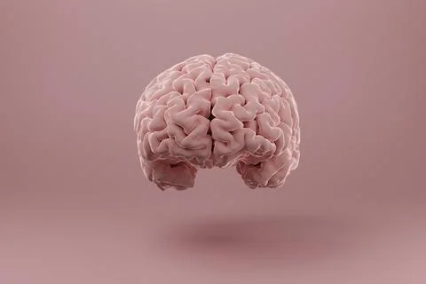 3D brain in front of a backdrop. Stock Illustration