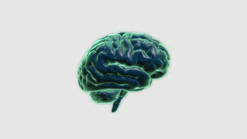 3D Brain Loop 2 Stock Footage 145928799