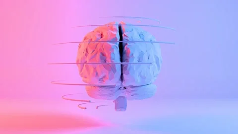 a 3d brain model with a pink and blue ba... | Stock Video | Pond5