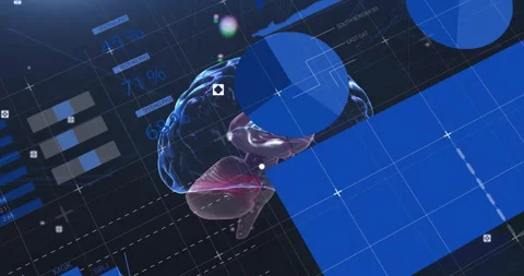 3D brain model pivoting while gauge updating bars rising pie chart emerging map Stock Footage 310317087