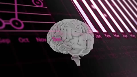 3D brain model with programming code and calendar overlay animation Stock Footage 306507405