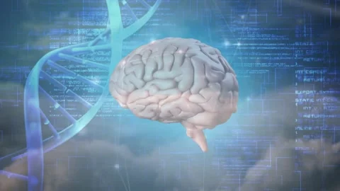 3D brain model rotating and tilting on play, DNA helix pulsing, code scrolling Stock Footage 328417575