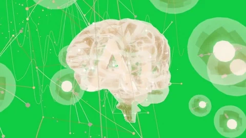 3D brain rotating after node pulse, forming network lines tracing data on Stock Footage 337173074