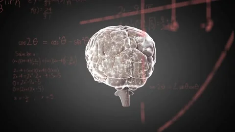 3D brain rotating and pulsing, frames starting math notes and graphs for Video stock 334036443
