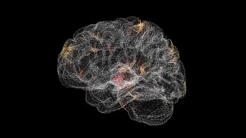 3D Brain Rotating Scan. Brain Scanning Interface. HUD Brain analyze. Medical  Illustrazione stock