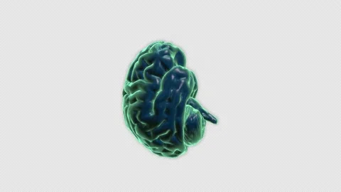 3D Brain Video Loop Stock Footage 145928755