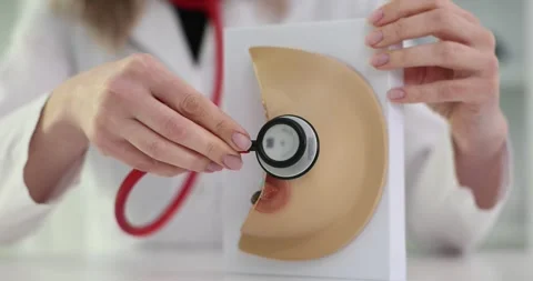 3D breast anatomy model with stethoscope Vidéo 273768570