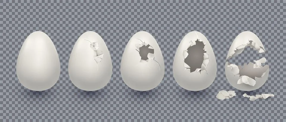 3d broken egg, chicken shell. Isolated break or open eggshell animal bird p.. 스톡 일러스트