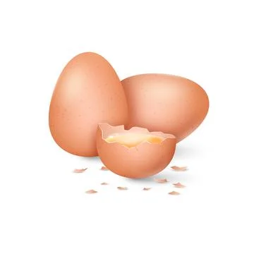3d brown egg, eat yolk. Realistic uncooked eggshell, white and yellow food Stock Illustration