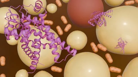 3D Brown Fat Cell and UCP1 Protein Visualization Stock Illustration