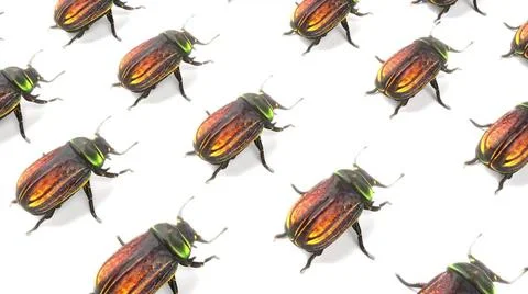 3D bug pattern simply animation for white bg 3d render 3D bug pattern simp... 스톡 사진