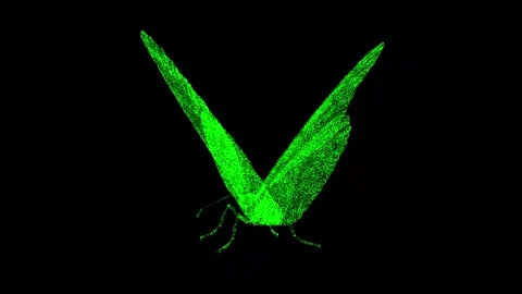 3D butterfly rotates on black background. 3d animation 60 FPS. 動画素材 244469155
