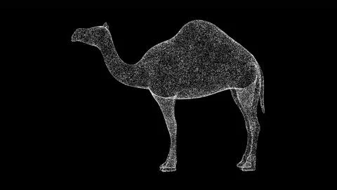 3D camel on black bg. Object dissolved white flickering particles. Business.. Illustrazione stock