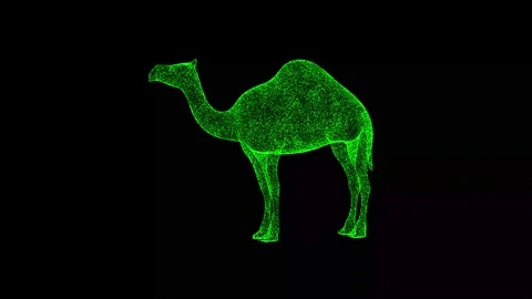 3D camel rotates on black bg. Object dissolved green flickering particles 60 FPS Video stock 235943965