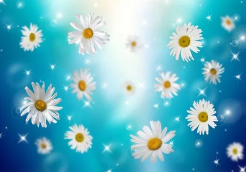 3D Camomile Stock Photos