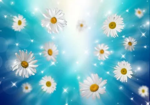 3D Camomile Stock Photos