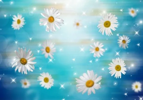 3D Camomile Stock Photos
