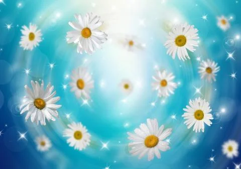 3D Camomile Stock Photos