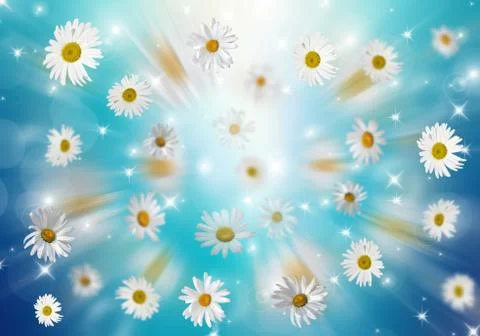 3D Camomile Stock Photos