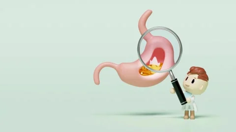 3D Cartoon Doctor Examining Human Stomach with Magnifying Glass Stock Footage 335407341