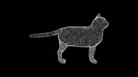3D cat on black bg. Object dissolved white flickering particles. Business a.. Stockillustratie