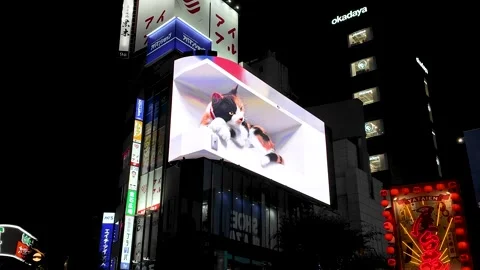 3D Cat Digital Billboard at Cross Shinjuku Vision in Tokyo at Night Stock Footage 326080035