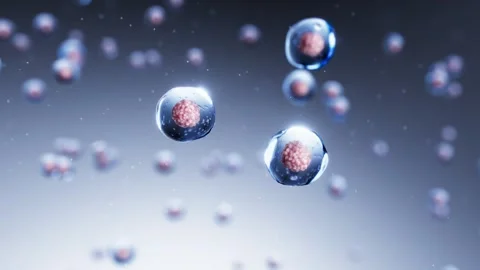 3D cell dynamic movement Video stock 319447124