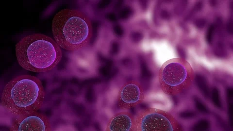 3D. Cell, Human Cell, Animal Cell. Stock Footage 71209769