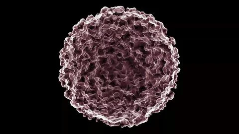 3D cell model on a black background, a macro view of the cell of the human .. Stock Illustration