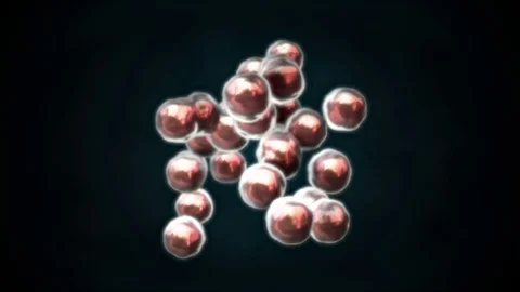3D CG animation of dividing cell (B) Video stock 82274297