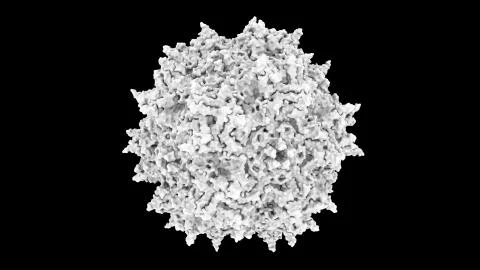 3D CG rendered image of Adeno-Associated Virus (AAV) Capsid Stock Illustration
