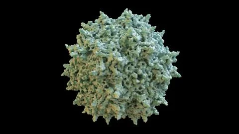 3D CG rendered image of Adeno-Associated Virus (AAV) Capsid Stock Illustration