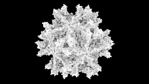 3D CG rendered image of Avian Infectious Bursal Disease Virus (IBDV) Capsid Stock Illustration