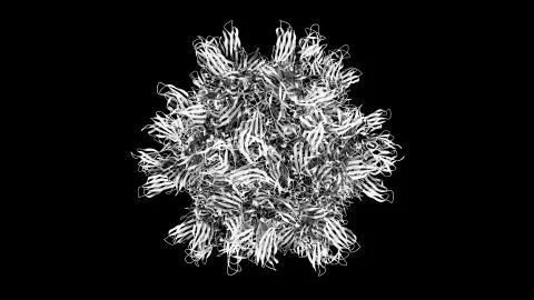 3D CG rendered image of Avian Infectious Bursal Disease Virus (IBDV) Capsid Stock Photos