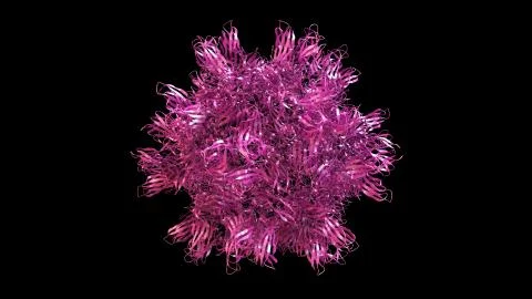 3D CG rendered image of Avian Infectious Bursal Disease Virus (IBDV) Capsid Stock Photos