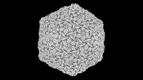 3D CG rendered image of Bacteriophage HK97 virus capsid Stock Illustration