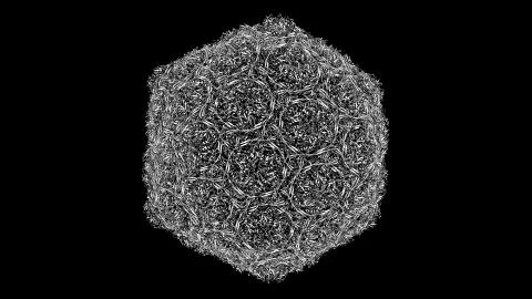 3D CG rendered image of Bacteriophage HK97 virus capsid Stock Illustration