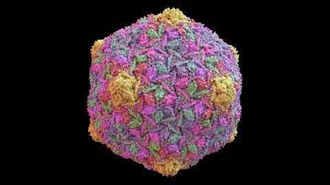 3D CG rendered image of Bacteriophage HK97 virus capsid Stock Illustration