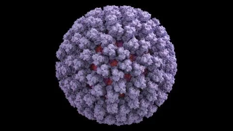 3D CG rendered image of Bluetongue Virus (BTV) Capsid Stock Illustration