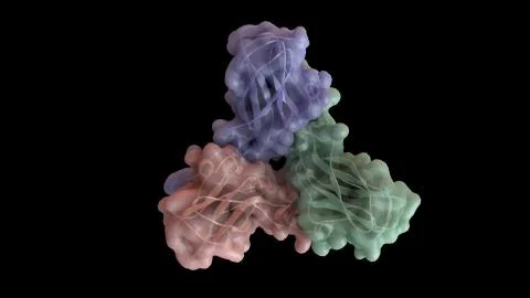 3D CG rendered image of Brome Mosaic Virus capsomere Stock Illustration
